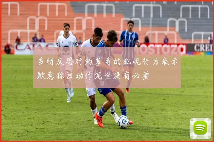 多特反思对约基奇的犯规行为表示歉意称该动作完全没有必要